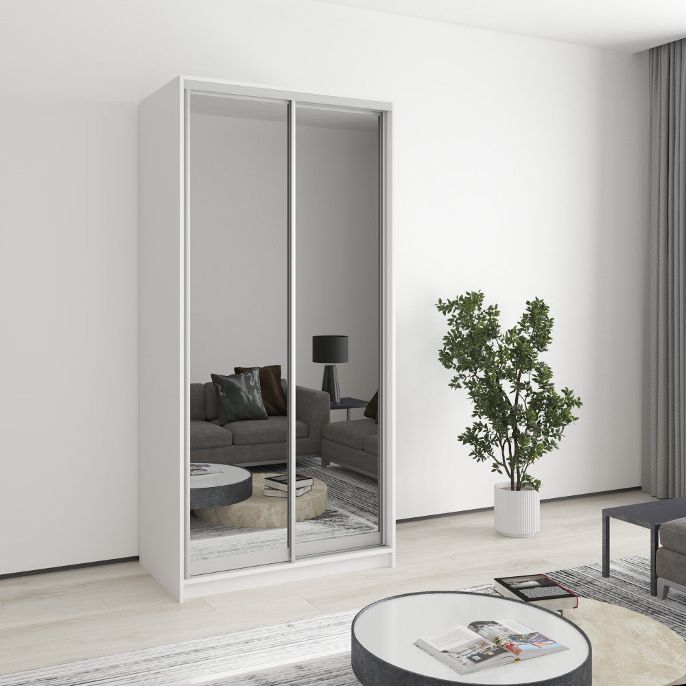 Шафа-купе дводверна Стандарт AL 2 Дзеркала 100x45x210 см
