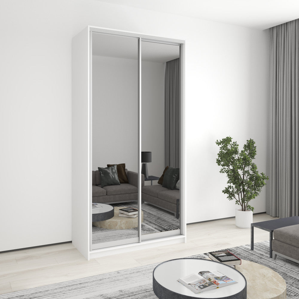 Шафа-купе дводверна Стандарт AL 2 Дзеркала 120x45x240 см